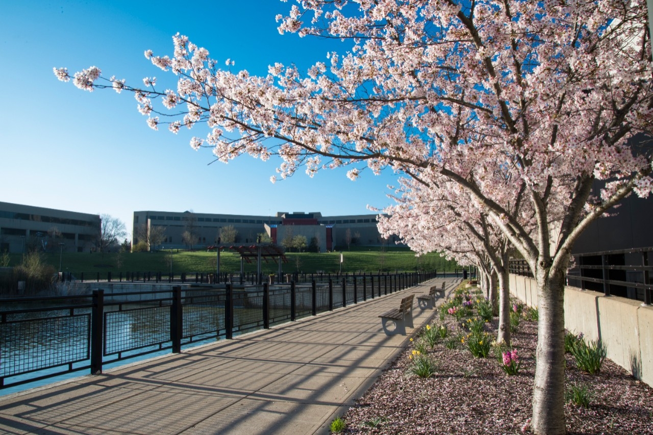 A view of the 91 campus in Springtime