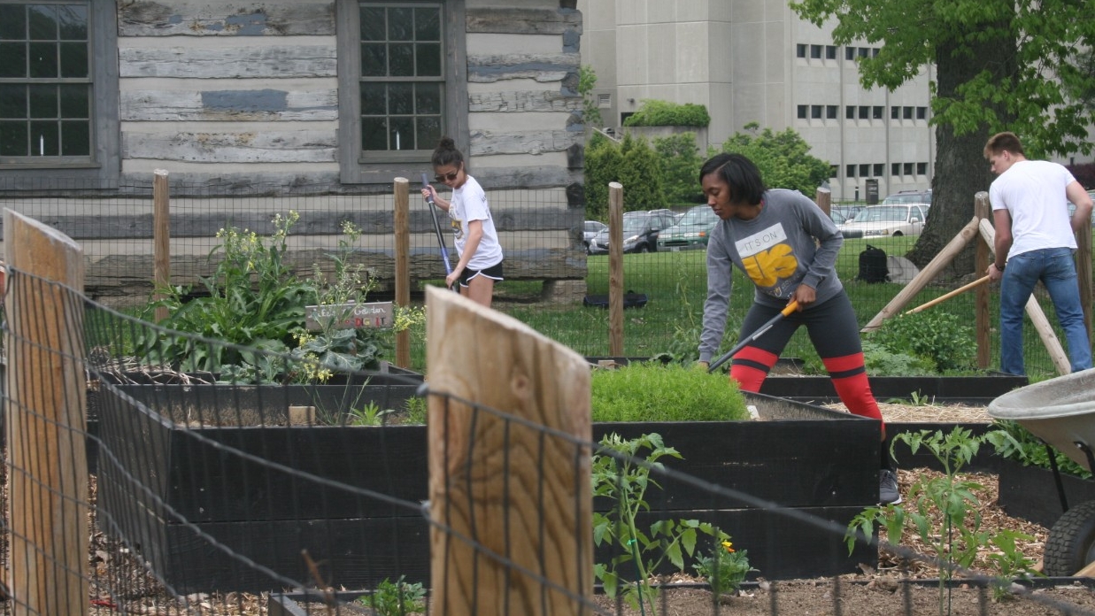 Students working outside garden on 91 campus